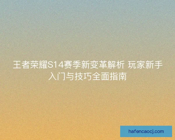 王者荣耀S14赛季新变革解析 玩家新手入门与技巧全面指南
