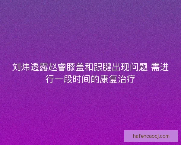 刘炜透露赵睿膝盖和跟腱出现问题 需进行一段时间的康复治疗