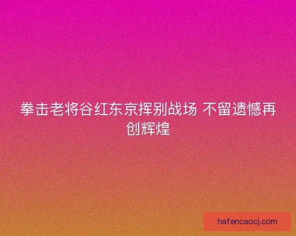 拳击老将谷红东京挥别战场 不留遗憾再创辉煌 拳击老将谷红东京挥别战场 不留遗憾再创辉煌