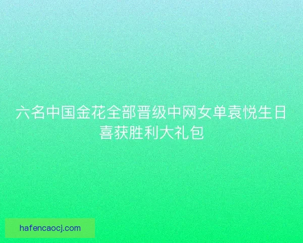 六名中国金花全部晋级中网女单袁悦生日喜获胜利大礼包