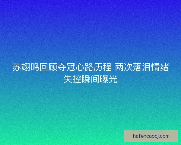 苏翊鸣回顾夺冠心路历程 两次落泪情绪失控瞬间曝光