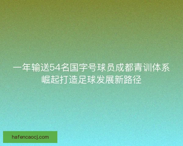 一年输送54名国字号球员成都青训体系崛起打造足球发展新路径 一年输送54名国字号球员成都青训体系崛起打造足球发展新路径