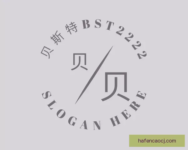 了解贝斯特bst2222